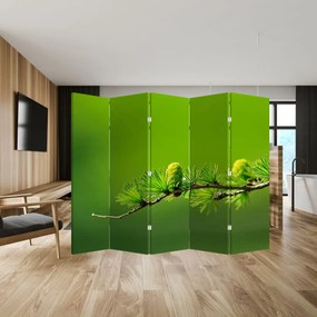 Paravan Con verde (210x170 cm)