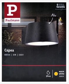 Aplică de exterior Paulmann 94452 LED/6W IP44 CAPEA 230V
