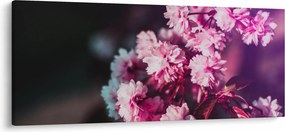 Tablou cu florile copacilor (120x50 cm)