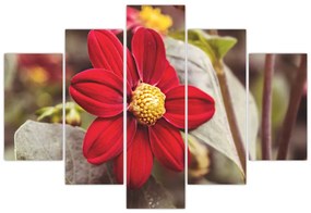 Tablou cu floare (150x105 cm)