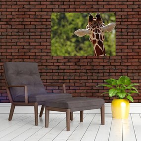 Tablou cu girafă din spate (90x60 cm)