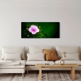 Tablou cu floare roz (120x50 cm)