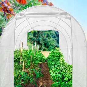 Solar de grădină 2,5 x 4 m alb