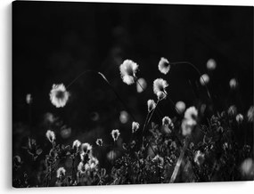 Tablou - Pajiște cu iarbă de cozonac N⁰1 (70x50 cm)
