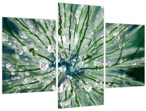 Tablou - Imagine macro a unei flori (90x60 cm)