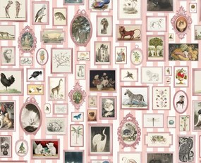 Fototapet, Vintage Frames, Pink, Rebel Walls