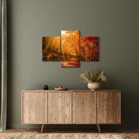 Tablou cu pădurea în toamnă (90x60 cm)