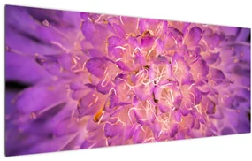 Tablou detailat cu floare (120x50 cm)