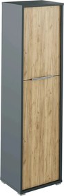 Dulap RIOMA NEW TYP 08, gri grafit/stejar artisan, DTD laminat, cu 2 u