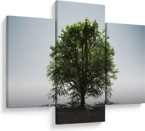 Tablou - Copacul singuratic (90x60 cm)