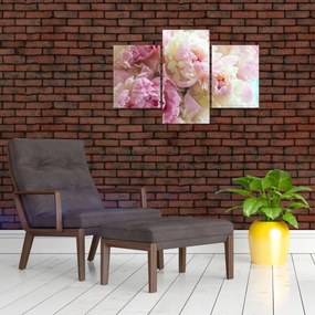 Tablou - Bujori (90x60 cm)