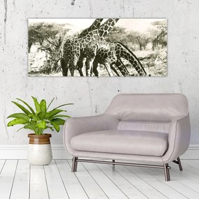 Tablou - Girafe, de epocă (120x50 cm)