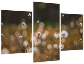 Tablou - Pajiște cu iarbă de cozonac N⁰2 (90x60 cm)