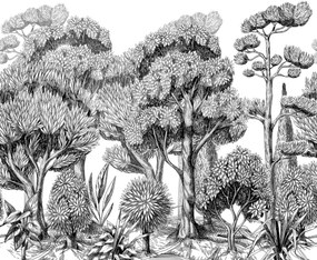 Fototapet, Forest Park, Graphite, Rebel Walls