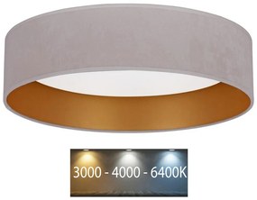 Plafonieră LED VELVET LED/24W/230V 3000/4000/6400K crem/aurie Brilagi