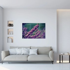 Tablou cu floare violetă (90x60 cm)