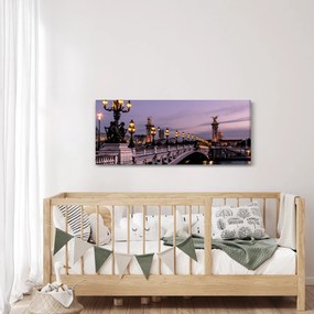 Tablou - Podul lui Alexandru al III.-lea din Paris (120x50 cm)