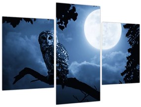 Tablou - Bufnița de noapte (90x60 cm)