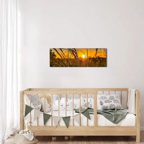 Tablou cu câmp în apus de soare (cu ceas) (90x30 cm)
