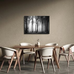 Tablou pe sticlă - Lup în pădurea întunecată (70x50 cm)