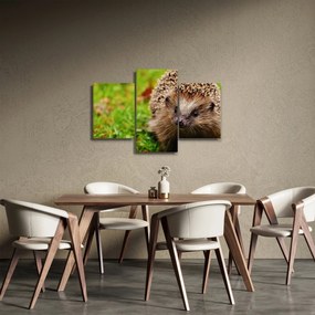 Tablou cu arici (90x60 cm)