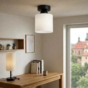 BRILAGI - Plafonieră LED RETRO GLASS 1xE27/60W/230V Ø 10 cm negru/alb