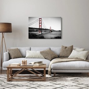 Tablou cu pod (90x60 cm)