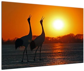 Tablou cu păsări în apus de soare (90x60 cm)