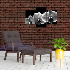 Tablou floare de orhidee (90x60 cm)