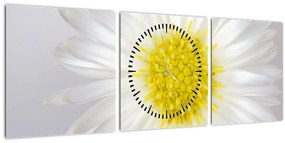 Tablou - Margarita (cu ceas) (90x30 cm)