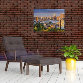 Tablou pe sticlă - Panorama Rotterdamului, Țările de Jos (70x50 cm)