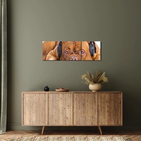 Tablou câinele cu căști (cu ceas) (90x30 cm)