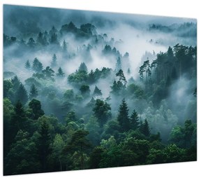 Tablou pe sticlă - Pădure în Ceață (70x50 cm)