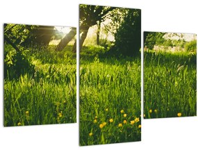 Tablou cu natura - lunca (90x60 cm)