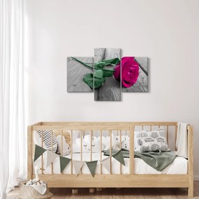 Tablou - Trandafir roz cu tulpina verde (90x60 cm)