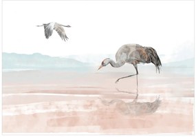 Fototapet - Cranes Over the Water