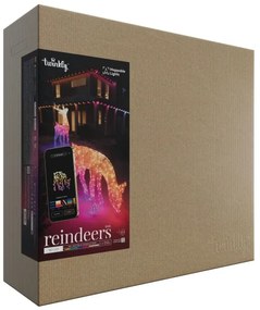 Ren LED RGBW dimabil de exterior Twinkly TW3RD140SPP-TEU 160xLED IP44 Wi-Fi