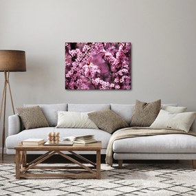 Tablou - Sakura roz (70x50 cm)