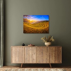 Tablou pe sticlă - Terasele de orez din Vietnam (70x50 cm)