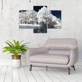 Tablou - Albă ca Zăpada Albă ca Zăpada Copaci (90x60 cm)