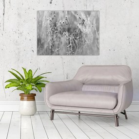 Tablou pe sticlă - Pajiște sălbatică (70x50 cm)