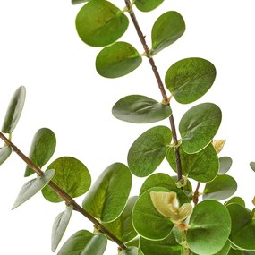 Plantă artificială – Casa Selección