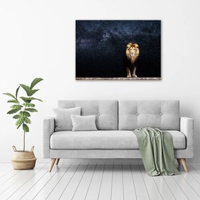 Tablou pe pânză canvas Leul pe fondul de stele