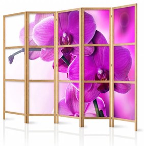 Paravan japonez - Violet Orchids II