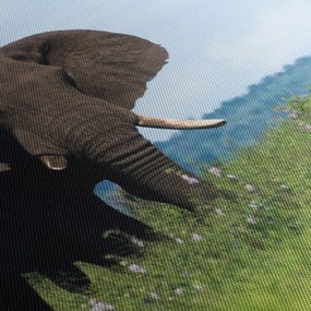 Tablou cu elefant (cu ceas) (90x30 cm)