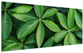 Tablou - Frunze cu picături de rouă (120x50 cm)