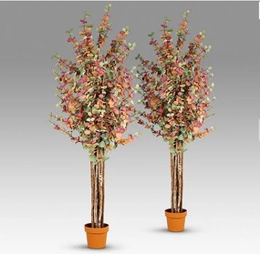 Set de 2 plante artificiale, Eucalipt colorat H-200cm