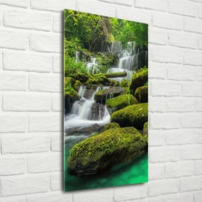 Imagine de sticlă Cascada din junglă