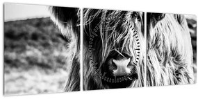 Tablou - Highland - vacă scoțiană (cu ceas) (90x30 cm)