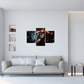 Tablou cu tigrul dormind (90x60 cm)